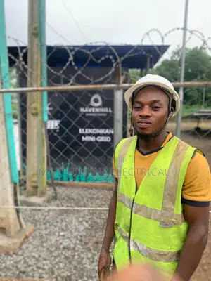Professional Electrician