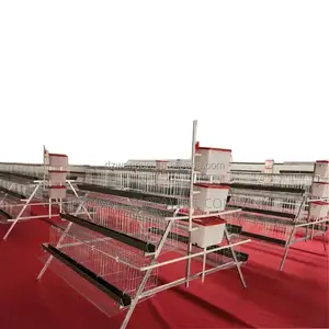 20-year Warranty: Premium A-type Battery Cage For 96 Layers