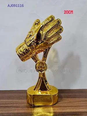 Best Goalkeeper Awards