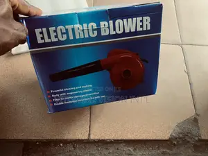 Electric Blower 700wattage Electric