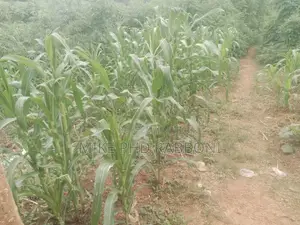 A Plot of Land at Green Garden Estate Phase 11 Abuja