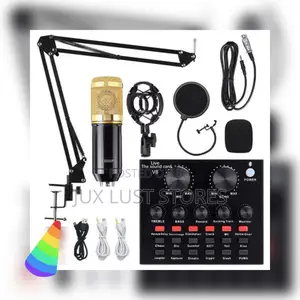 Audio Condenser Recording Mic With V8 Sound Card And Stand