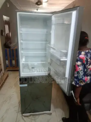 Freezing Hisense 308dr 300l Double Door Refrigerator
