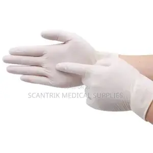 Examination Glove Powder Free