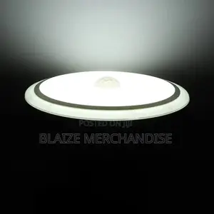 Motion Sensor Ceiling Light