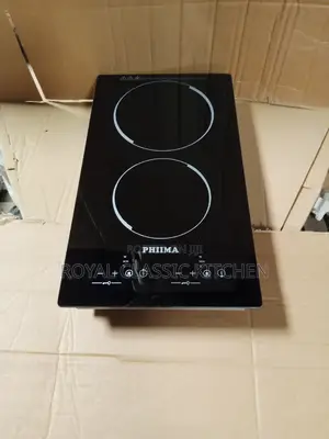 2 Burner Electric Gas Coker