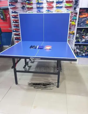 Waterproof Standard Outdoor Table Tennis