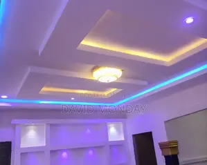 Professional House Electrician.
