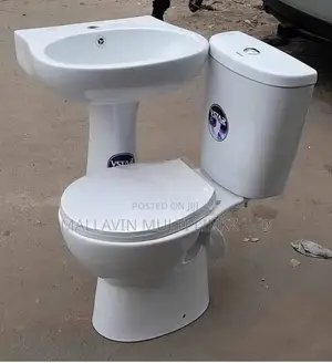Quality Standard Toilet Seats Wc