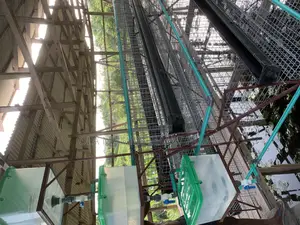 Battery Cage for Layers