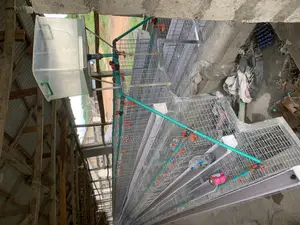 Layer’S Battery Cage 96 Capacity