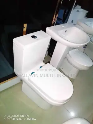 Quality Wc With Pedestal Basins