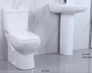 Toilet Seat And Basin Complete Set