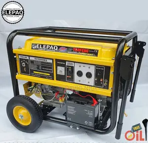 Elepaq Constant Sv22000e2, 12kva Generator With Remote Start