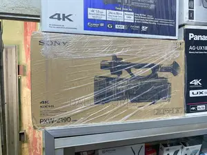 Sony Pxw-z190