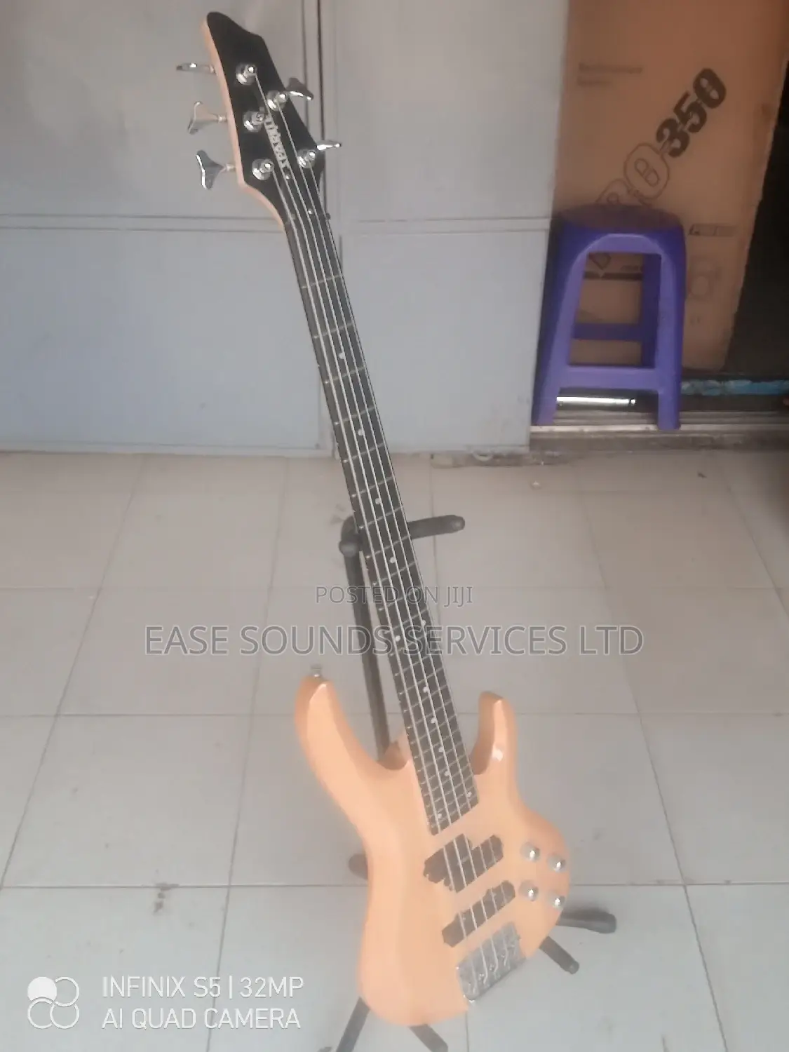 5-Strings Professional Bass Guitar