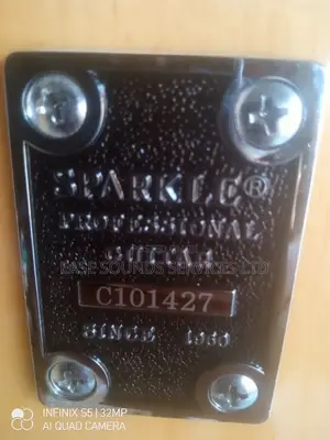 5-Strings Professional Bass Guitar