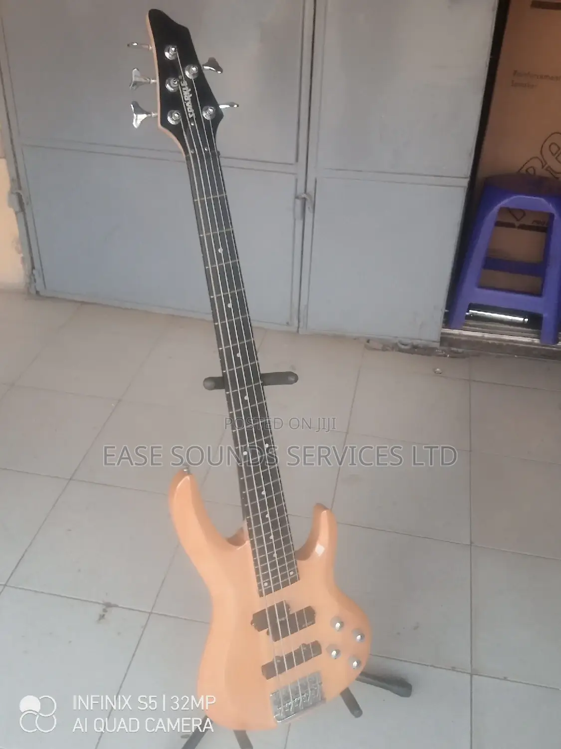 5-Strings Professional Bass Guitar