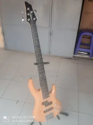 5-Strings Professional Bass Guitar