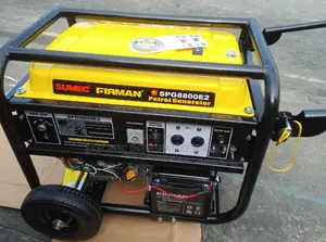 Sumec Firman Petrol Generator (Spg8800e2)