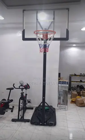 Standard Basketball Stand