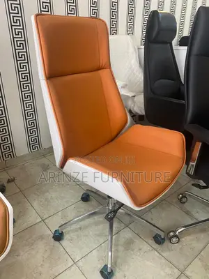 Executive Fashion Chair
