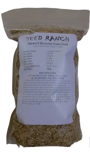 Bermuda Grass Seeds