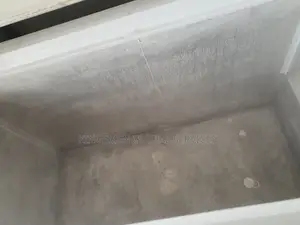 Deep Freezer for Frozen Food Business