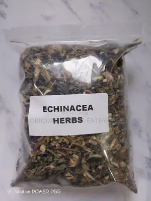 Echinacea Organic Herbs  250g