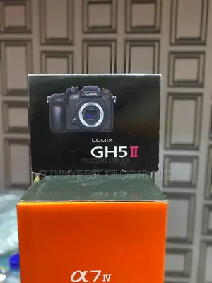 Panasonic Gh5 Ll Body