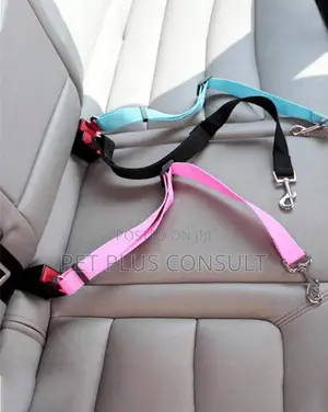Pet Seat Belts