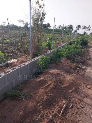 Chainlink Fence