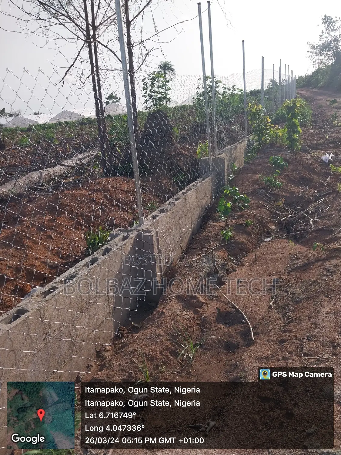 Chainlink Fence