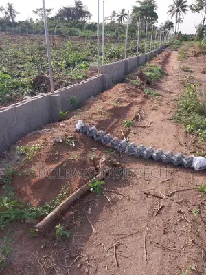 Chainlink Fence