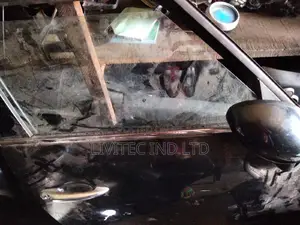 Mini Cooper Country Man Door