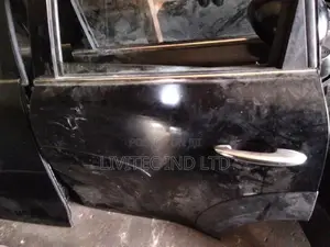 Mini Cooper Country Man Door