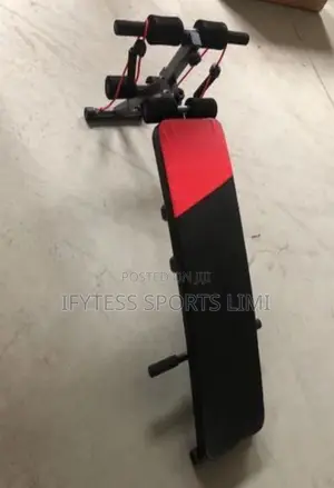 Sit-Up Bench With Dumbbells
