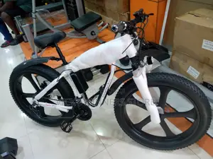 Electric Bike