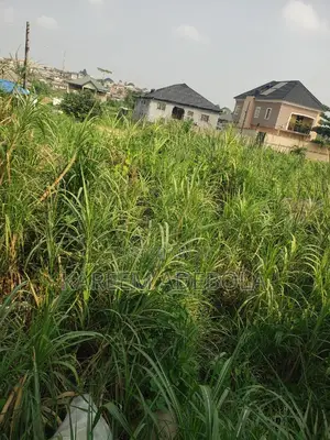 Residential Land at Oba Akenzua Road Onireke