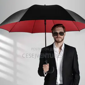 Big Umbrella
