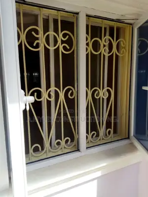 Wrought Iron Window Protector