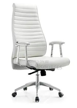 Executive Office Chair
