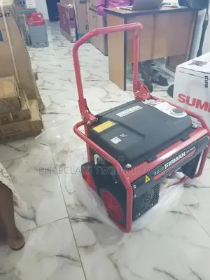 Unique and Good Firman Generator Eco 4990es.