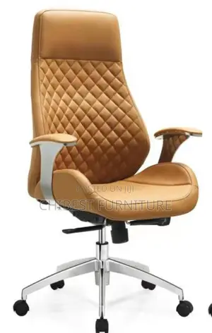 Standard Executive Chair for Office