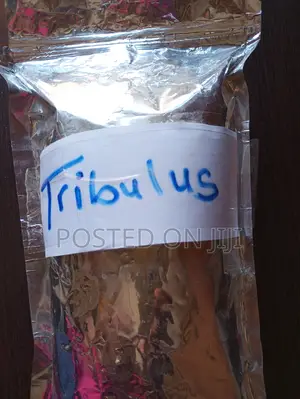 Tribulus Terrestrial (Gokshura) Powder 100g
