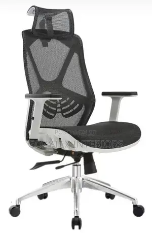 Executive Office Chair
