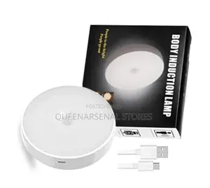 Motion Sensor Induction Light
