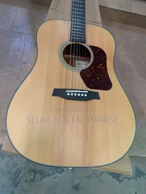 Quality Walden Pure Acoustic Guitar