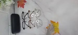 Polarized Extra Clear Eyeglasses