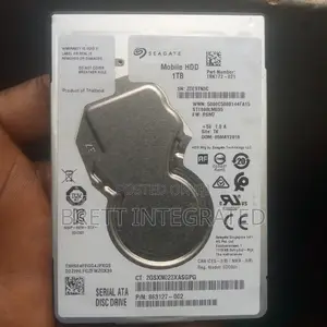 Seagate 1TB Head Disk